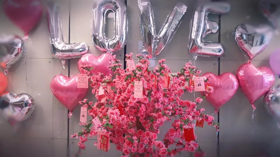 2.14情人节，捷配给单身狗发“对象”了！